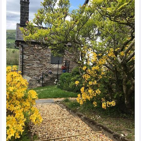 Hares Hideaway At Coed Moelfa Bed & Breakfast Corwen Dış mekan fotoğraf