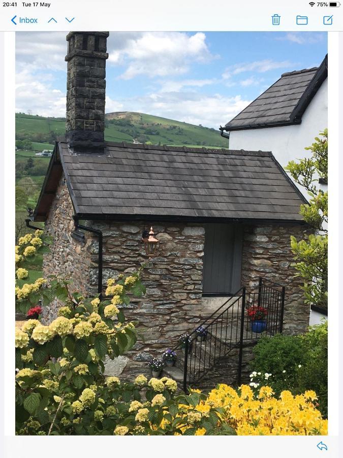 Hares Hideaway At Coed Moelfa Bed & Breakfast Corwen Dış mekan fotoğraf