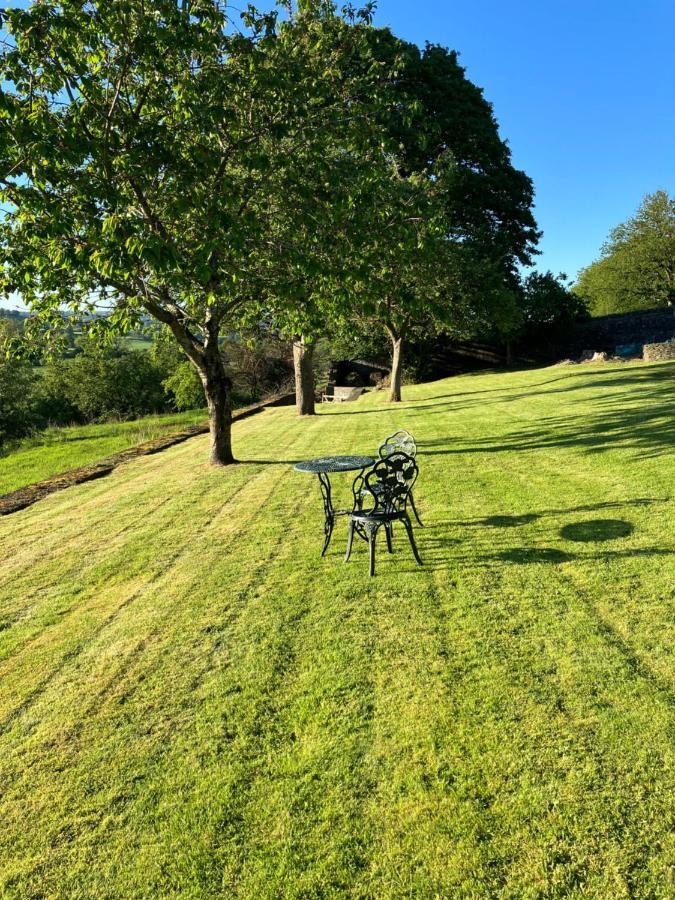 Hares Hideaway At Coed Moelfa Bed & Breakfast Corwen Dış mekan fotoğraf