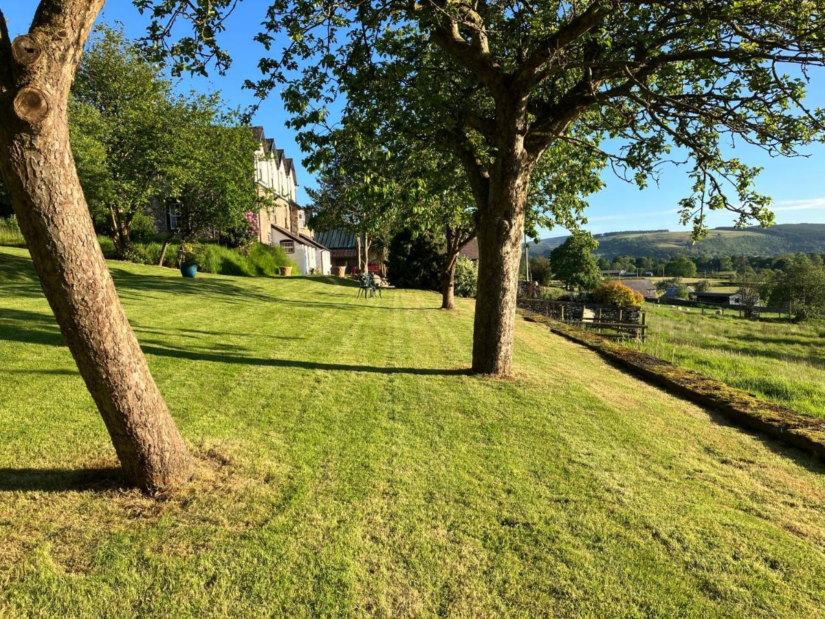 Hares Hideaway At Coed Moelfa Bed & Breakfast Corwen Dış mekan fotoğraf