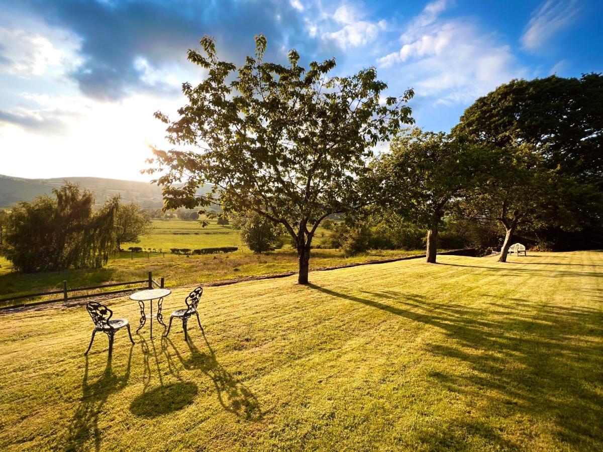 Hares Hideaway At Coed Moelfa Bed & Breakfast Corwen Dış mekan fotoğraf
