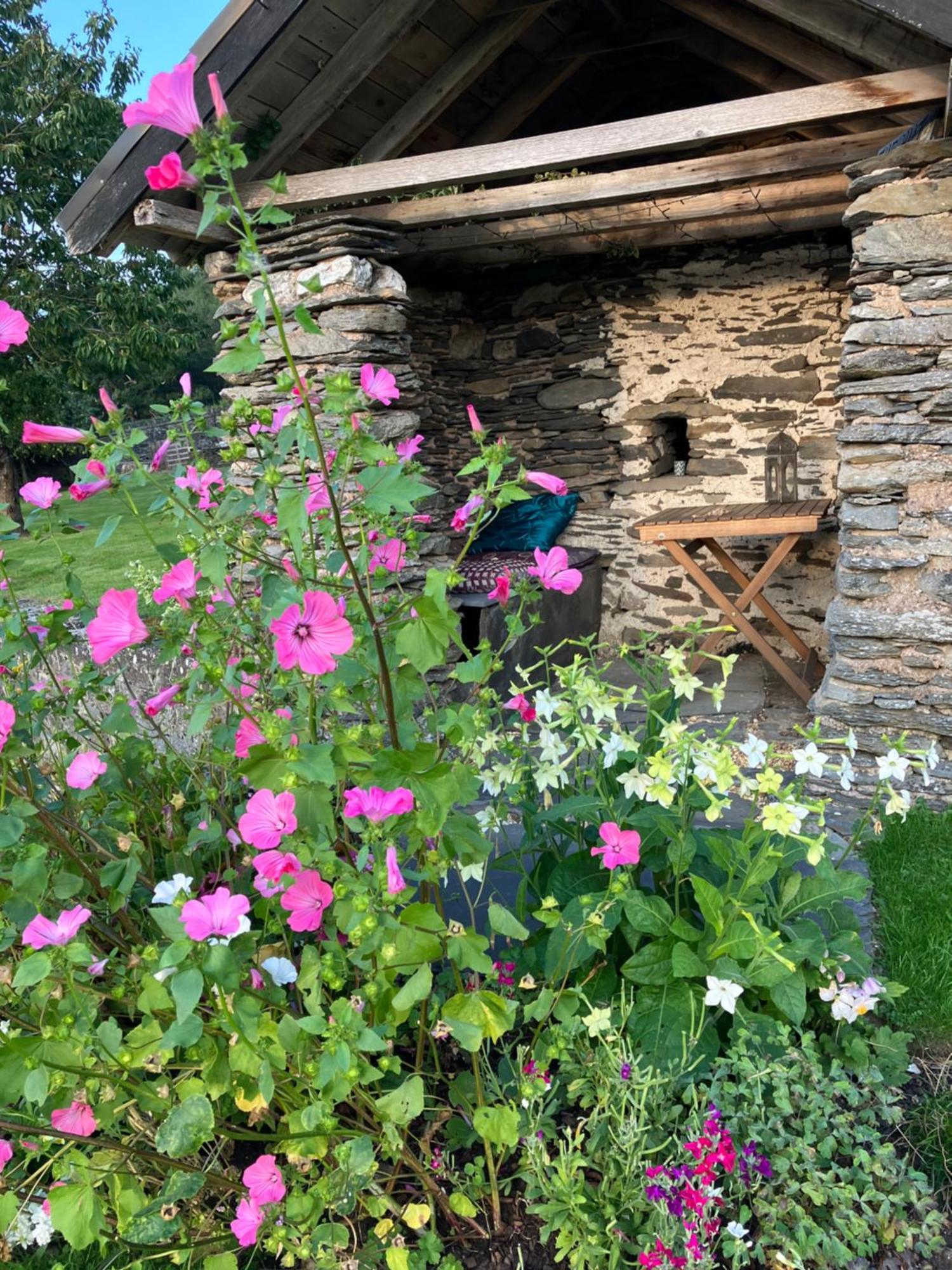 Hares Hideaway At Coed Moelfa Bed & Breakfast Corwen Dış mekan fotoğraf